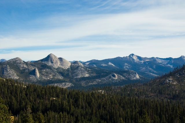 Sequoia _ Yosemite2014 068